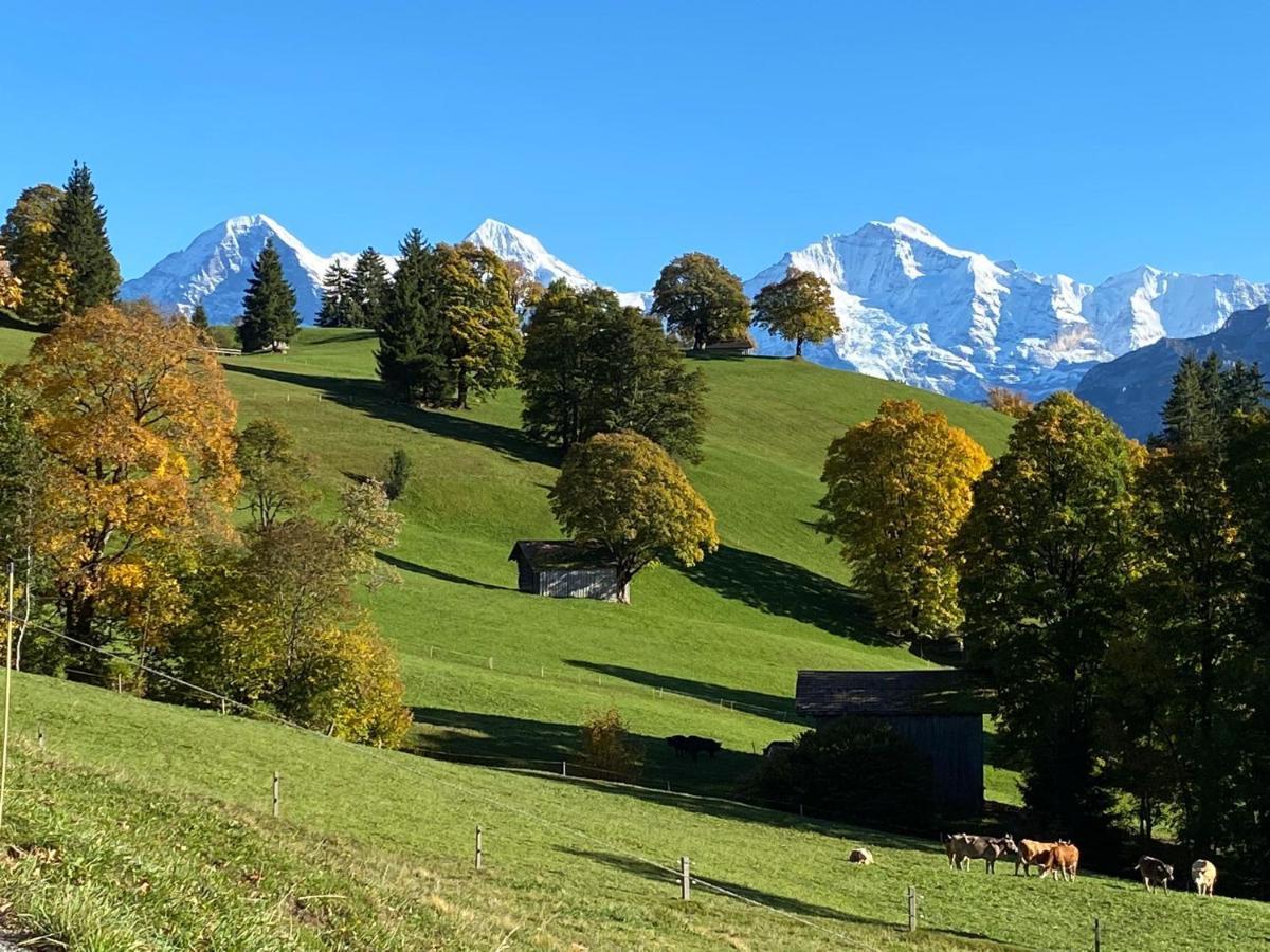 Snowflake Leissigen Exterior foto